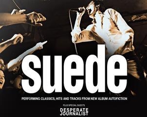 Suede - SOLD OUT